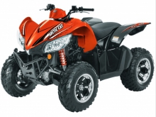 Фото Arctic Cat Cat XC 450i  №2